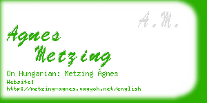 agnes metzing business card
