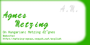 agnes metzing business card